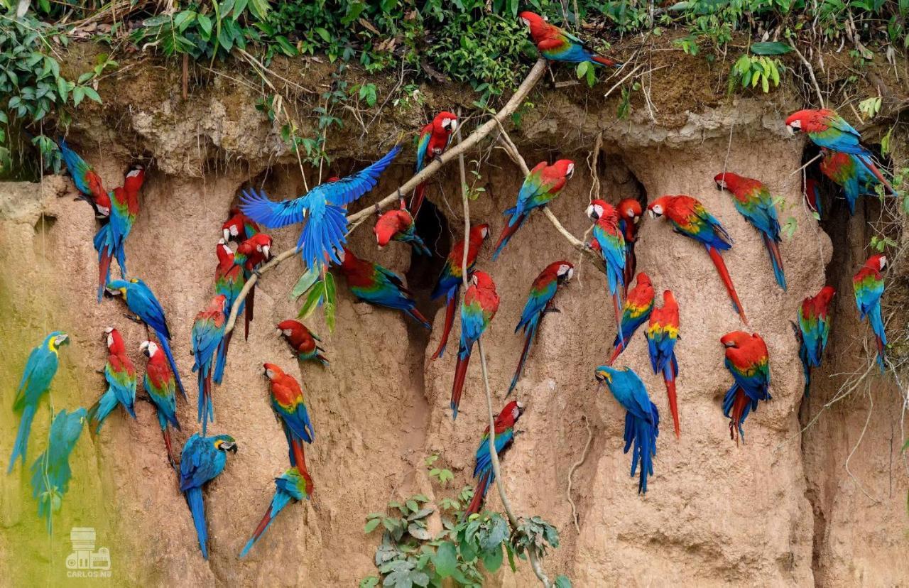 Monte Amazonico Lodge Tambopata 외부 사진